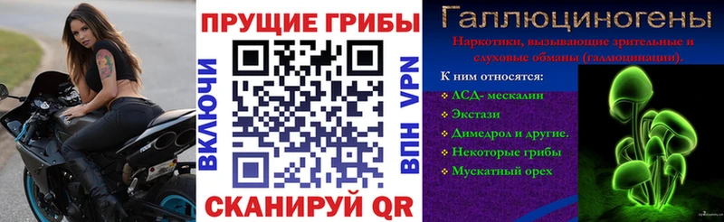 кракен рабочий сайт наркошоп маркетплейс как зайти Псилоцибиновые грибы мицелий Павловская